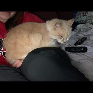 Meet your Posher, Karlie